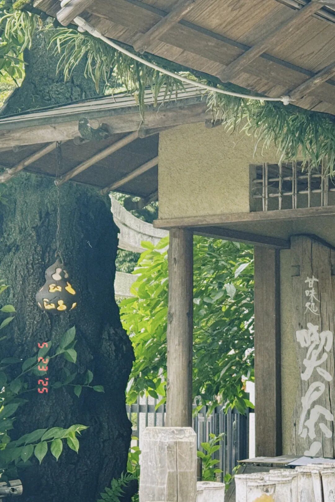 喫茶去